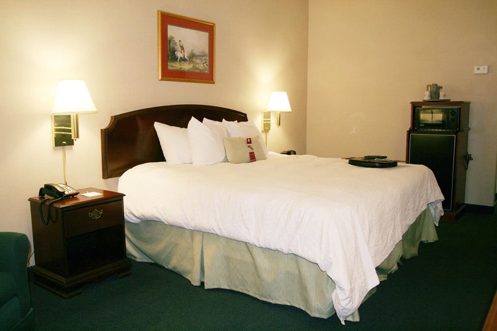 Hampton Inn & Suites Florence Center Pokoj fotografie