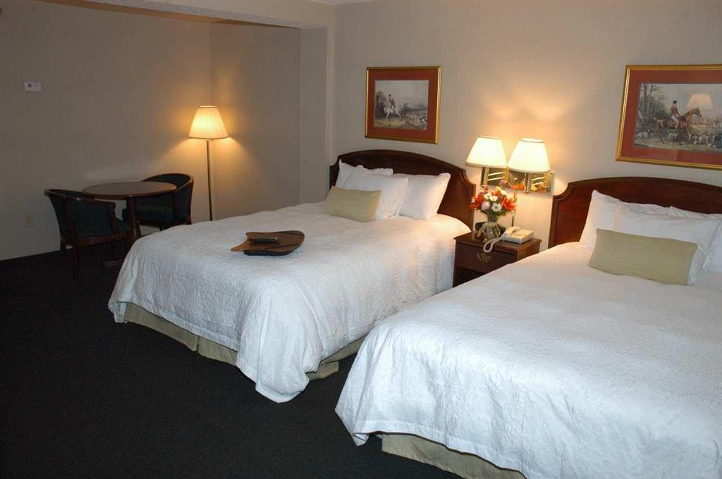 Hampton Inn & Suites Florence Center Pokoj fotografie